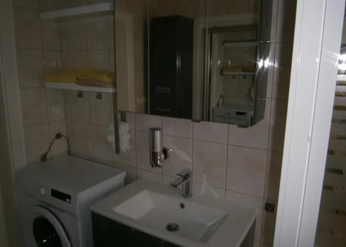 Der Fruehe Vogel Daire