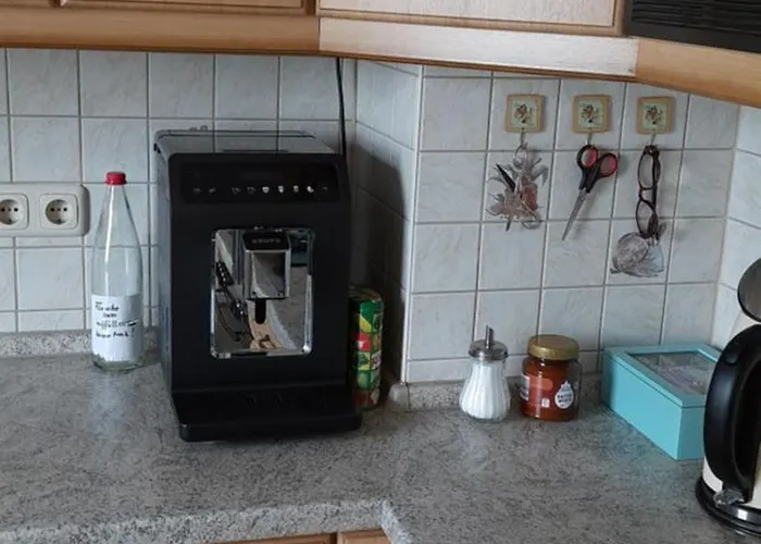 Der Fruehe Vogel Plaue (Thuringia)