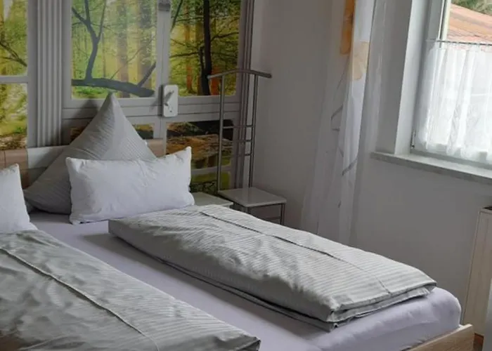 Daire Der Fruehe Vogel